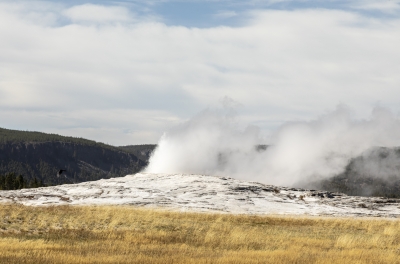 Old Faithful Ready to Blow 2024